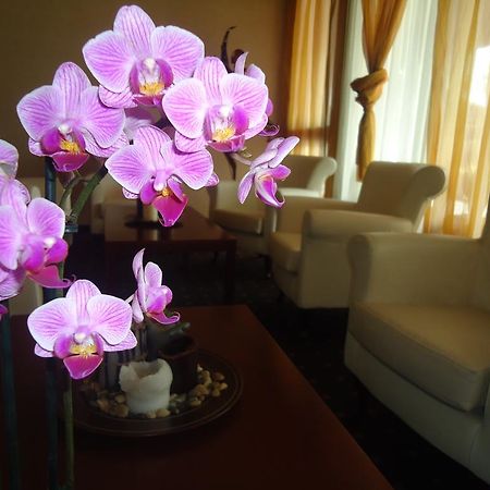 Ch Hotel Giada Inn Arese Extérieur photo